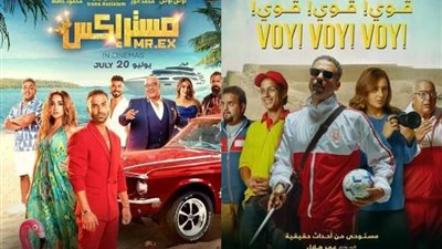 سحب فيلم مستر إكس من دور العرض وفوي فوي فوي يتصدر.. إيرادات الأفلام بالسينما أمس