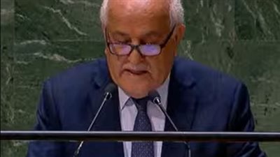 مندوب فلسطين يشكر مصر وقطر.. ويؤكد: تهجير الفلسطينيين إلى جنوب غزة جريمة حرب