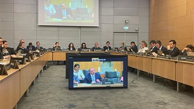 مصر تشارك في اجتماع لجنة التنمية الاقتصادية والمراجعة