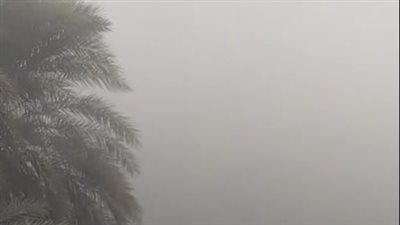 شبورة مائية كثيفة على المنوفية وطقس مستقر على مدينتي السويس والغردقة اليوم| بث مباشر 