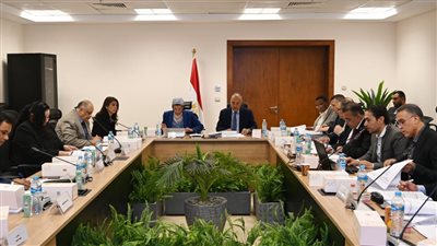 الري: الموافقة على إصلاح خط أنابيب الزيت الخام بالبحر الأحمر ومشروع مصنع إنتاج ألواح الثلج بطور سيناء