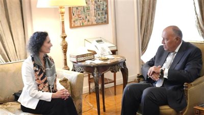 سامح شكري: نحذر من العواقب الإنسانية والأمنية لممارسات إسرائيل ضد سكان غزة