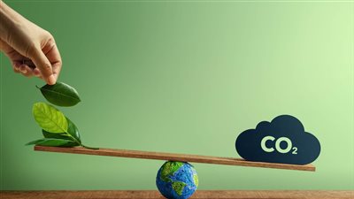 استبدال الخيارات الغذائية يحسن المناخ ويقلل البصمة الكربونية | دراسة