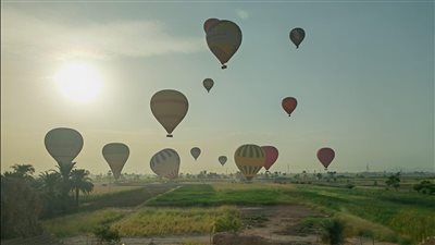 1345 سائحًا بسماء الأقصر على متن 56 رحلة بالون طائر 
