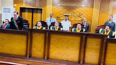  تأجيل محاكمة البلوجر هبة السيد لـ 25 نوفمبر