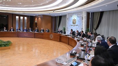 وزير التجارة: وجود فرص استثمارية في مصر بـ 152 صناعة مختلفة