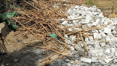 زراعة المنوفية: أزلنا 3159 حالة تعدٍ على الأراضي منذ 2020