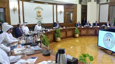 مدبولي لـ وزير الاستثمار الإماراتي: الفترة الحالية تشهد فرصًا واسعة للقطاع الخاص