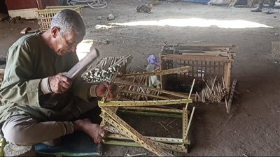 50 سنة في المهنة.. قصة كفاح أقدم قفاص ببني سويف: من الجريد بنصنع كل حاجة| فيديو 