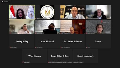 وزيرة الهجرة تعقد اجتماعا مع مجموعة من مستثمرينا بالخارج لاستعراض الفرص الاستثمارية في مصر