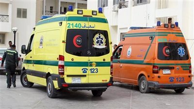 مشاجرة بسبب الأرض.. شاب يقتل عمه ويصيب والده بطلقات نارية في قنا