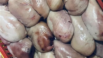 ضبط نصف طن دجاج غير صالح للاستهلاك الآدمي بالإسماعيلية 