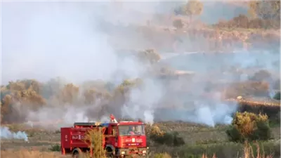احتراق 40 ألف شجرة.. إسرائيل تتعمد حرق أشجار الزيتون في لبنان 