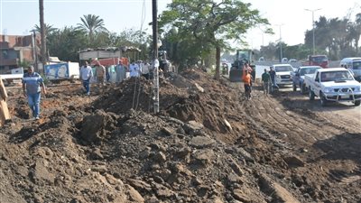 محافظ القليوبية: إزالة 207 حالات تعد على الأراضي الزراعية في بنها وطوخ خلال 4 أيام