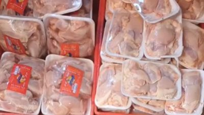 الـ5 فرخات بـ100 جنيه.. مبادرة في السلام لبيع الدواجن بأسعار مخفضة | بث مباشر