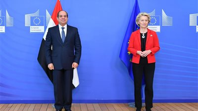  السيسي يؤكد رفض مصر القاطع لتصفية القضية الفلسطينية دون حل عادل 