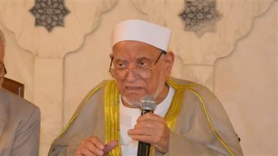 أحمد عمر هاشم: وثيقة المدينة كانت البذرة الأولى للأخوة الإنسانية