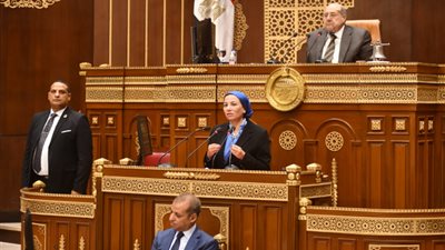 وزيرة البيئة: الحكومة تستخدم الجزرة بدلا من العصا في التعامل مع مخالفي قوانين البيئة