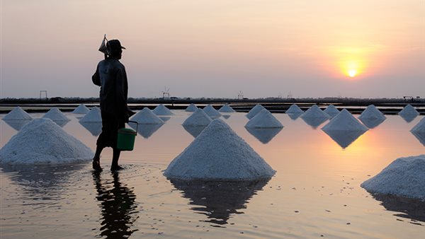 دورة الملح الطبيعية