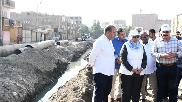 محافظ أسوان