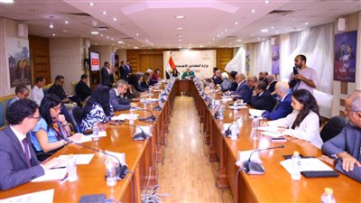 منظمات الأمم المتحدة: مصر تلعب دورًا مهمًا في إدخال المساعدات الإنسانية إلى قطاع غزة