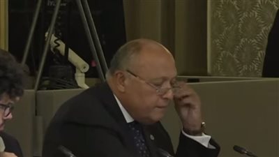 شكري: المساعدات المقدمة لغزة لا تفي.. وسياسات إسرائيل فيما يخص الملف تؤدي لتفاقم الأوضاع وتثير الشكوك حولها