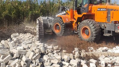 محافظ الإسكندرية يوجه بتنفيذ حملات مكبرة لإزالة التعديات على الأراضي الزراعية