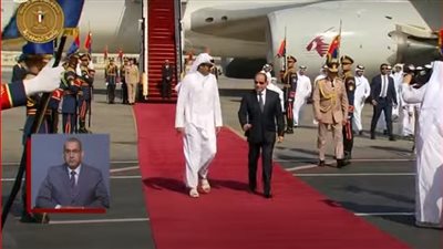 السيسي وأمير قطر يؤكدان رفض أي محاولات لتصفية القضية الفلسطينية أو التهجير القسري