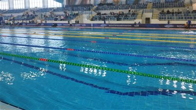 أمريكا تعتذر عن عدم المشاركة في بطولة مصر الدولية للسباحة البارالمبية