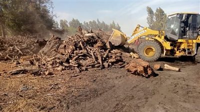 إزالة 56 مكمورة فحم لمخالفة الاشتراطات البيئية بالبحيرة