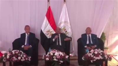 وزير العدل: عدد القضايا المدنية المتبقية قبل 2020 بمحكمة جنوب بنها 18 قضية فقط 