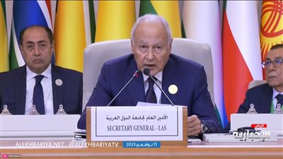 أبو الغيط: قرار مجلس الأمن الداعي لهدن إنسانية في غزة خطوة صغيرة في الاتجاه الصحيح