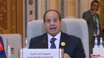 السيسي يلتقي ملك الأردن لبحث مستجدات الأحداث في غزة: يجب قيام الدولة الفلسطينية المستقلة وعاصمتها القدس الشرقية