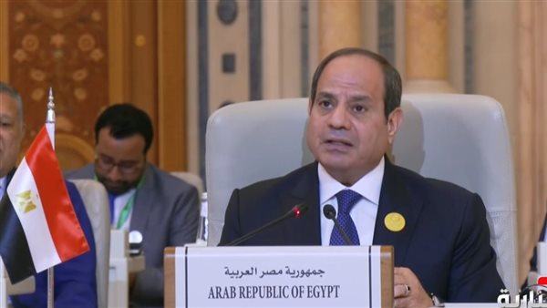 الرئيس السيسي 