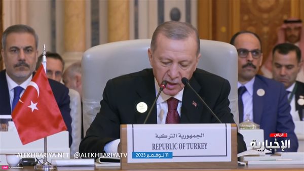 الرئيس التركي رجب