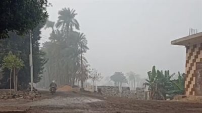 بعد سقوط أمطار غزيرة.. شبورة مائية كثيفة تضرب مدن وقرى بني سويف | بث مباشر