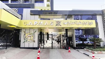 الإحصاء: زيادة صادرات مصر إلى دول حوض النيل 7.3% عام 2022