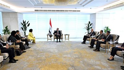 رئيس الوزراء يستقبل المديرة التنفيذية لوكالة الاتحاد الإفريقي للتنمية 