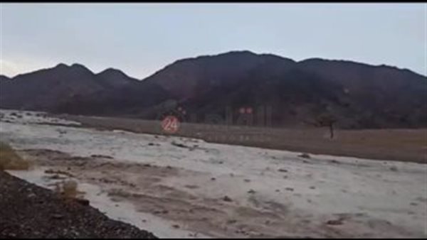 سيول بالكيلو 82 طريق