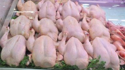 %40 زيادة في أسعار الفراخ البيضاء بالأسواق خلال شهر.. وكيلو البانيه بـ 210 جنيهات