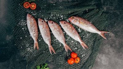 تفسير حلم أكل السمك في المنام للمتزوجة والعزباء والرجل.. مال وفير ودعوات مستجابة 