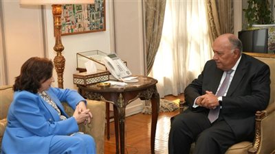 وزير الخارجية: الانتهاكات الإسرائيلية بحق المرأة الفلسطينية في غزة ترقى لجرائم الحرب