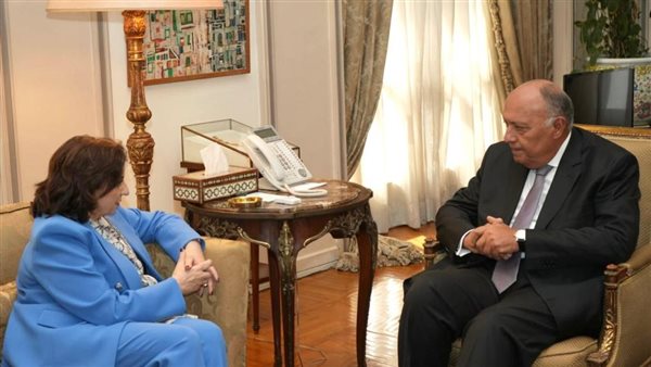 وزير الخارجية ووكيلة