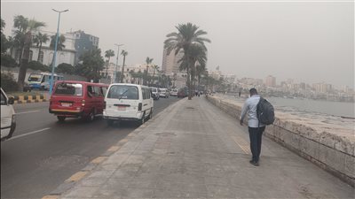 شغل النور والمساحات والكلاكس.. نصائح مهمة من المرور للسير وقت الشبورة