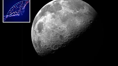 لتوفيره للكائنات الفضائية بهدف استنساخه.. بروفيسور يرسل حمضه النووي إلى القمر