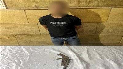 حبس شخص بالقاهرة بتهمة التعدي بسلاح خرطوش على آخرين وإحداث إصابتهم