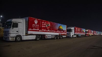 الأهلي يرسل قافلة مساعدات دعمًا لأهالي فلسطين | صور