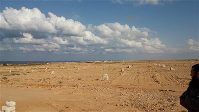 مواطن يزوّر ورق ملكية قطعة أرض بالنزهة ويطالب الدولة بالتعويض