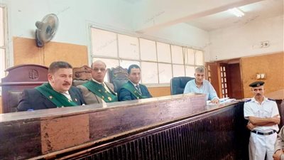 المشدد 7 سنوات لعامل وغرامة مليون جنيه للتعدي على طفل جنسيا بكفر الشيخ