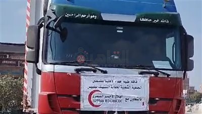 من الشرقية هنا غزة.. أهل بلبيس يرسلون قافلة مساعدات إنسانية للقطاع | تفاصيل